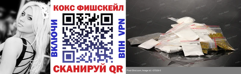 Cocaine Fish Scale  где продают наркотики  Каменногорск 
