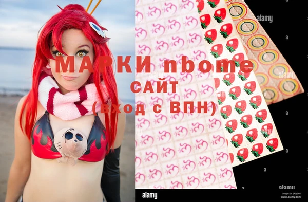 индика Протвино