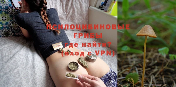 индика Протвино