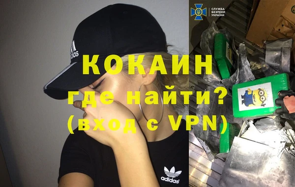 прущие грибы Абдулино