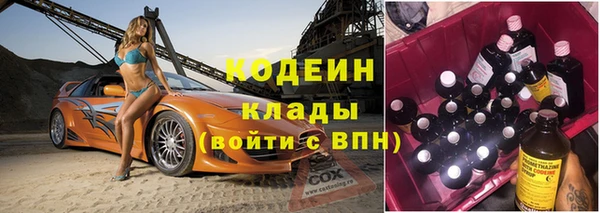 индика Протвино