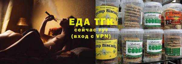 индика Протвино