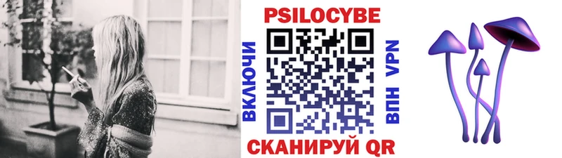 Галлюциногенные грибы ЛСД  Каменногорск 