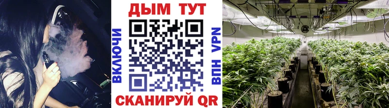 где можно купить Каменногорск МАРИХУАНА SATIVA & INDICA